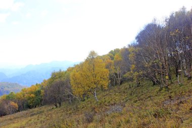 Dağ doğal manzarası, fotoğrafa yakın çekim