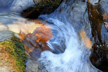 Rock and Creek, fotoğrafa yakın çekim
