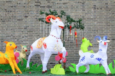 Keçiler fener modelliyor, fotoğraflara yakın çekim yapıyorlar.