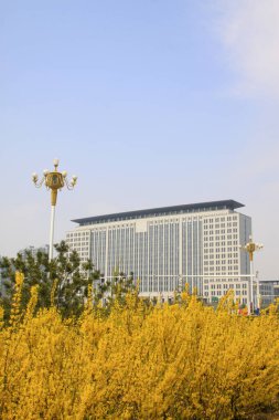 Şehir mimarisi ve yeşillendirme, Luannan ilçesi, hebei bölgesi, Çin