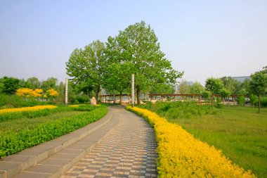 Parktaki ağaçlar ve patika, fotoğrafa yakın çekim.