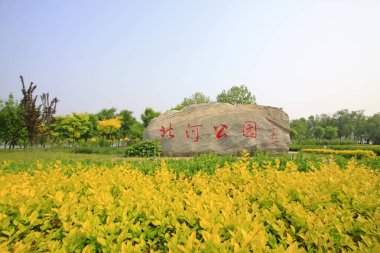 Parkta büyük bir kaya izi, fotoğrafa yakın çekim.