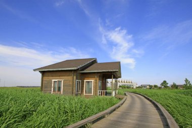 Hebei caofeidyen golf konağı manzarası, Çin