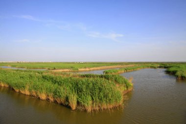 Hebei kaofeidyan golf sahası