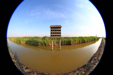 Wetland Park 'ta yapay kuş yuvası