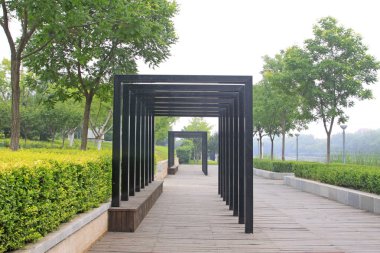 Park Binası Manzarası, Çin