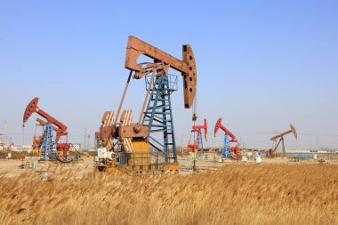 Petrol sahasında mavi gökyüzünün altında pompalama ünitesi ve kamış