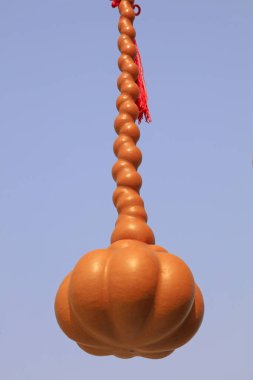 Deforme olmuş su kabağı Hawaii 'de asılı, fotoğrafa yakın çekim.