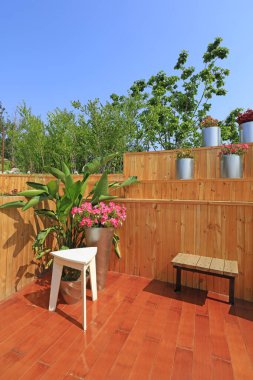 Ahşap zemin, duvarlar ve saksı