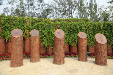 Parktaki Çin klasik heykeli