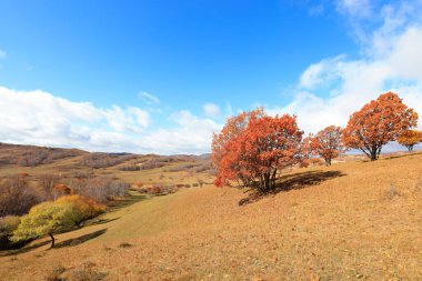 İç Moğolistan, Çin 'deki Ulan ovasının manzarası.