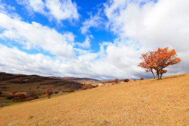 İç Moğolistan, Çin 'deki Ulan ovasının manzarası.