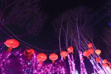 Kırmızı fenerler karanlığın dallarında asılı.