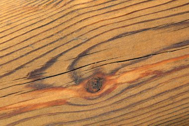 Doğal ahşap doku yapısının yakın çekimini yap