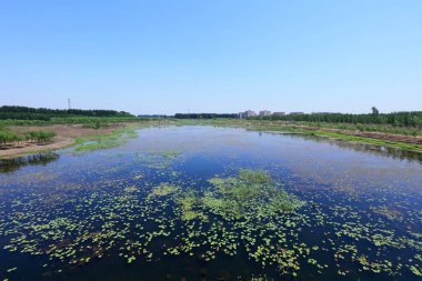 Göllerin doğal manzarası