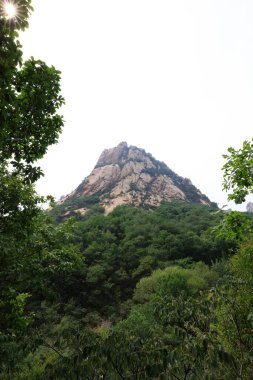 Dağ Doğal Sahnesi, Zushan, Çin