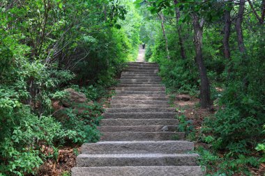  Turistik bölgede dağ yolu