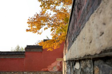 Sonbaharda tapınak manzarası, Çin