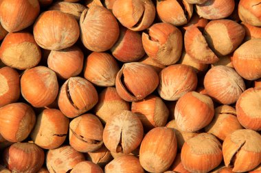 Bir dükkanda fındık, fotoğrafa yakın çekim.