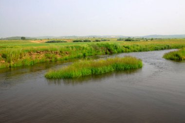 20 Temmuz 2014 'te otlaktaki Tuligen Nehri manzarası, Xilin gol ligi, Moğolistan özerk bölgesi, Çin.