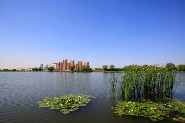 LUANNAN COUNTY - 15 Eylül 2014 'te Luannan ilçe binası manzarası, Luannan County, Hebei Eyaleti, Çin