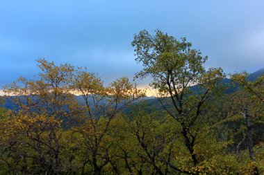 Doğal manzara, fotoğrafa yakın çekim.