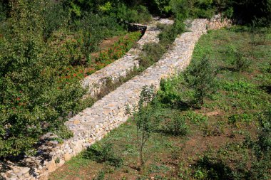 Vahşi doğada taş kanallar, fotoğraflara yakın.