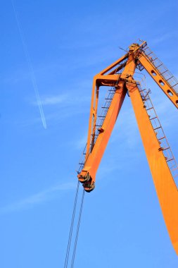 vinç tembel kolu, fotoğrafa yaklaş