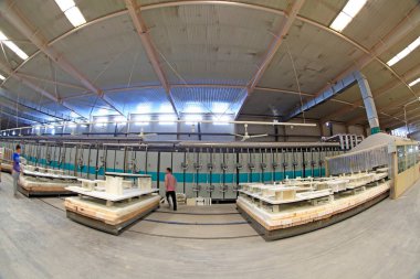 Luannan - 31 Mayıs 2015 'te seramik şirketinde Sintering atölye üretim hattı görüntüsü, Luannan County, Hebei, Çin