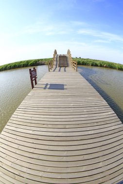Wetland Park manzarası, fotoğrafa yakın çekim