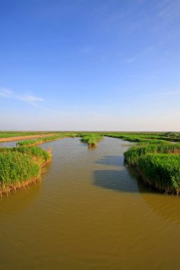 Hebei kaofeidyan golf sahası