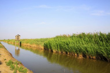 Wetland Park 'ta yapay kuş yuvası