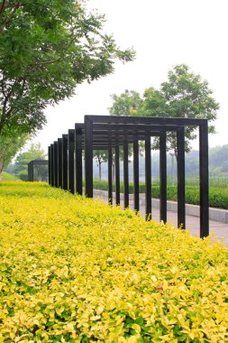 Park Binası Manzarası, Çin