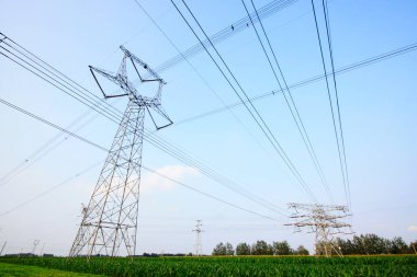 Tarlalarda elektrik kulesi, yakın çekim