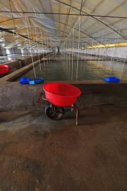 iron pusher in Mariculture workshop