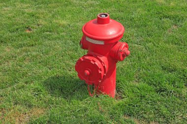 Kırmızı yangın musluğu yeşil çayırda.