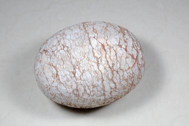 Eliptik küre yakın çekim, fotoğrafa yakın çekim