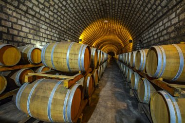 Şarap mahzenlerinde meşe fıçıları, Changli County, Hebei Eyaleti, Çin