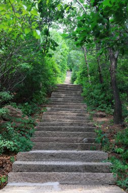  Turistik bölgede dağ yolu