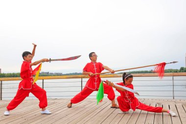 Luannan County - 23 Ağustos 2016 'da parkta dövüş sanatları gösterisi, Luannan County, Hebei, Çin