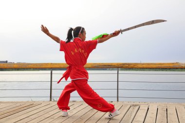 Luannan County - 23 Ağustos 2016 'da parkta dövüş sanatları gösterisi, Luannan County, Hebei, Chin