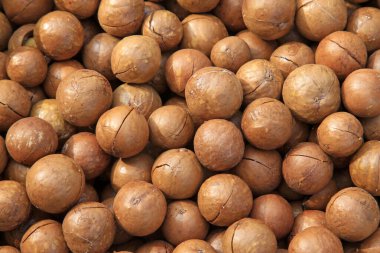 Fıstık yığını, fotoğrafa yakın çekim