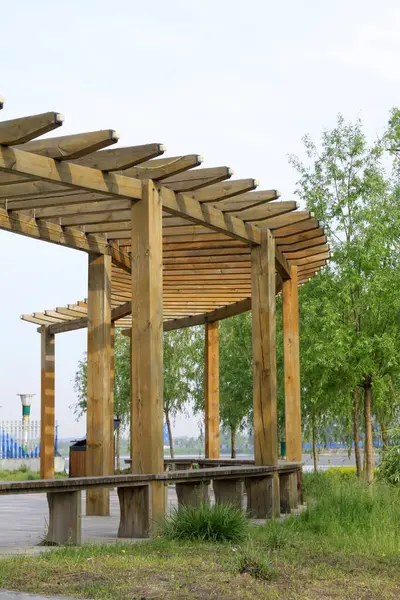 Parkta ahşap gezinti, fotoğrafa yakın çekim.