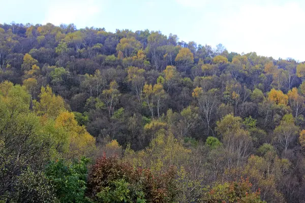 Dağ doğal manzarası, fotoğrafa yakın çekim