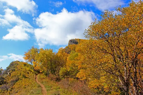 Doğal manzara, fotoğrafa yakın çekim.