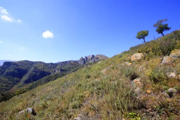 Doğal manzara, fotoğrafa yakın çekim.