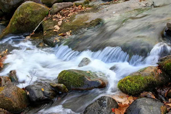 Rock and Creek, fotoğrafa yakın çekim