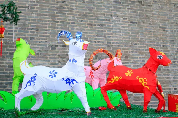 Keçiler fener modelliyor, fotoğraflara yakın çekim yapıyorlar.