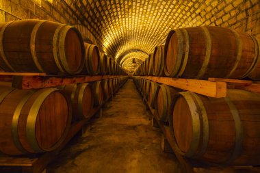 Şarap mahzenlerinde meşe fıçıları, Changli County, Hebei Eyaleti, Çin