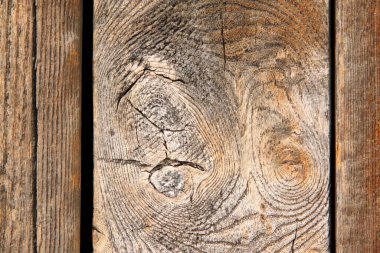 Sarsıntılı tahıl, fotoğrafa yakın çekim.